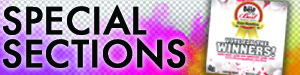 SpecialSectionWidgetTR